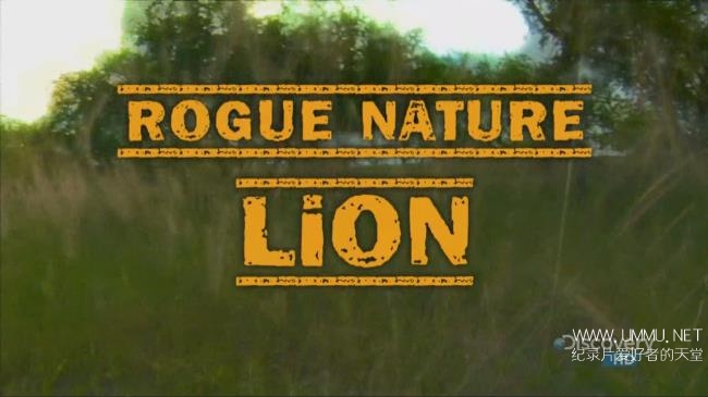 探索频道 面对狂暴动物rogue Nature 全6集英语中字7p高清危险动物纪录片下载 纪录天堂