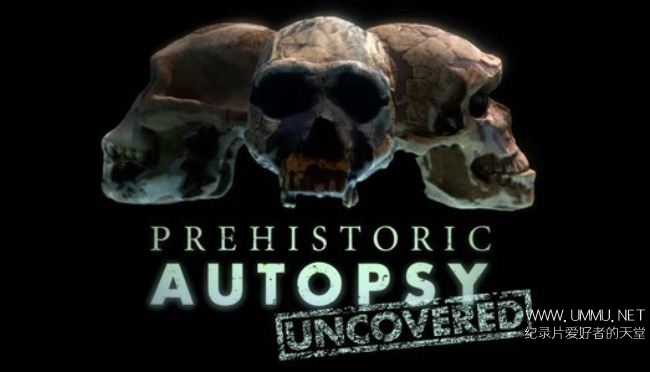 c纪录片 重建古人类原貌 史前尸检prehistoric Autopsy 12 全3集英语中字mkv 1 3g 重建远古祖先的骸骨 纪录天堂