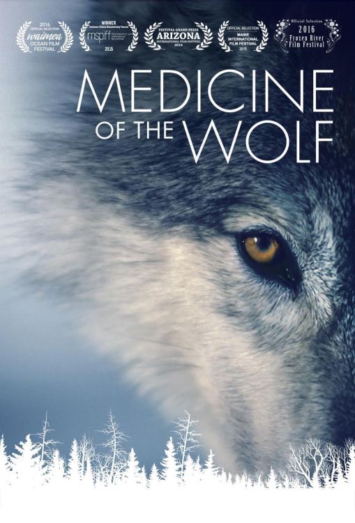 美国纪录片 狼医学 狼人类的解药medicine Of The Wolf 15 英语中英双字1080p Mp4 918m 被人误解的食肉动物品性 纪录天堂