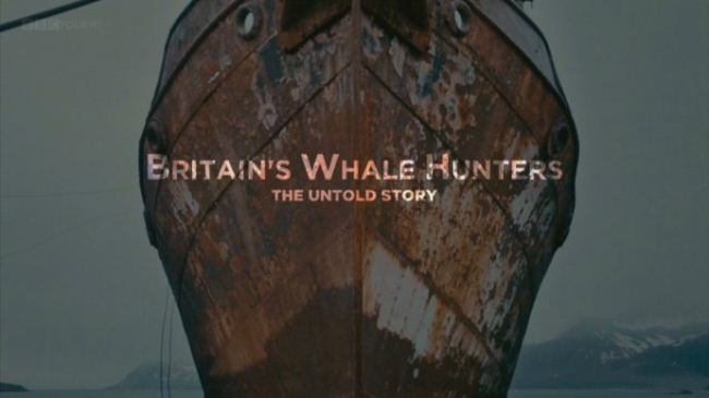 c纪录片 英国捕鲸船 不为人知的历史britain S Whale Hunters The Untold Story 14 全2集英语英字7p Mkv 2 65gb 英国捕鲸船的历史 纪录天堂