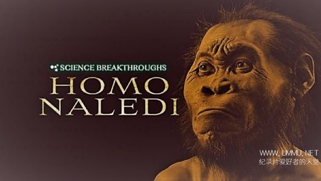 wilddogfilms纪录片科学突破纳莱迪人sciencebreakthroughshomonaledi