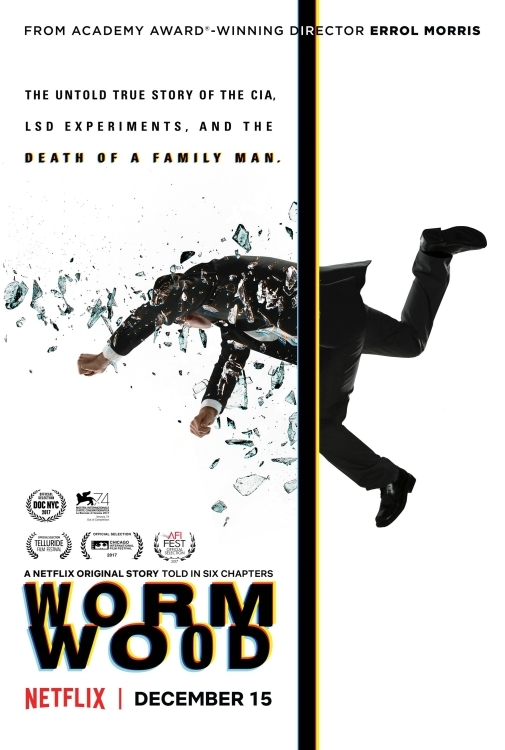 Netflix纪录片 苦艾草wormwood 17 全6集英语英字7p Mkv 2 8g 美国中情局揭秘 纪录天堂