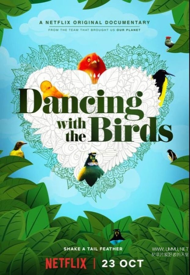 Netflix纪录片 与鸟共舞dancing With The Birds 19 英语中字1080p Mkv 2 94g 鸟类纪录片下载 纪录天堂