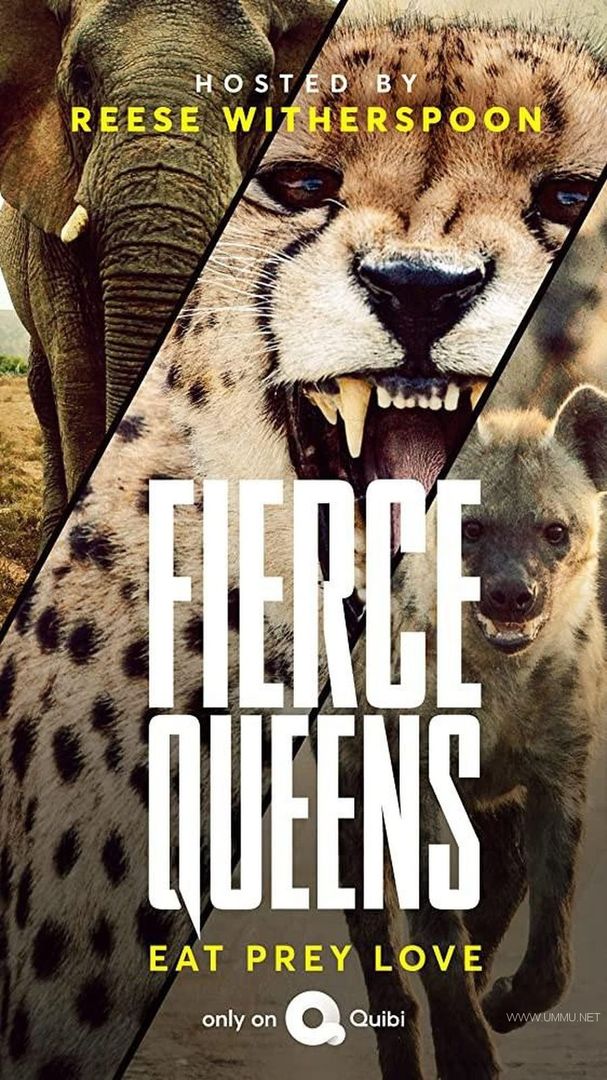 bbc纪录片捕猎皇后fiercequeens2020全7集英语中英双字1080pmp4805m