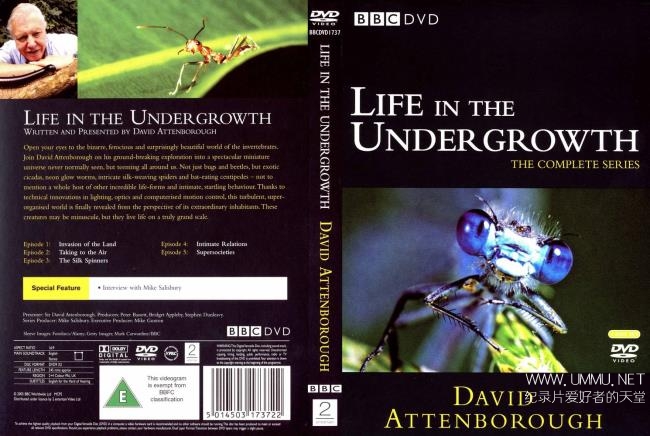 c纪录片 灌丛下的生命life In The Undergrowth 全5集英语双字7p高清无脊椎动物纪录片下载 纪录天堂